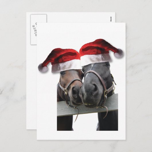 Cartes Pour Fêtes Annuelles Cheval Amour et Joyeux Noël (Devant / Derrière)