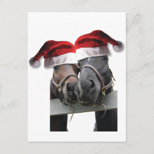 Cartes Pour Fêtes Annuelles Cheval Amour et Joyeux Noël