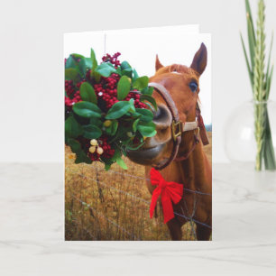 Cartes Pour Fêtes Annuelles Cheval de baiser sous Mistletoe