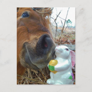 Cartes Pour Fêtes Annuelles Cheval de lapin et de brun de Pâques