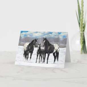 Cartes Pour Fêtes Annuelles Cheval De L'Appaloosa Noir En Neige