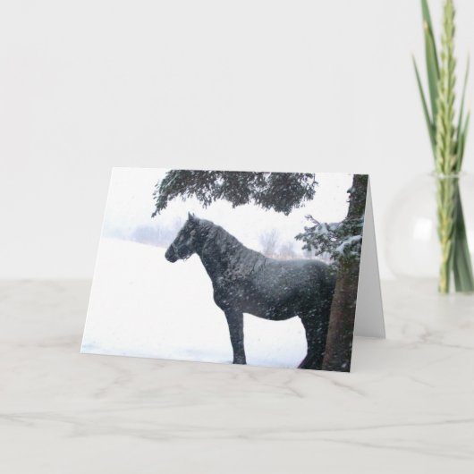 Cartes Pour Fêtes Annuelles Cheval de neige (Devant)