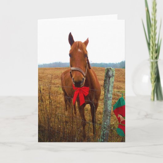 Cartes Pour Fêtes Annuelles Cheval de Noël (Devant)