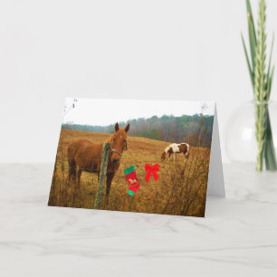 Cartes Pour Fêtes Annuelles Cheval de Noël avec nœud et bas