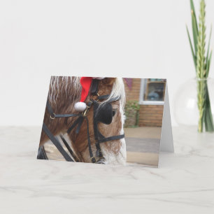 Cartes Pour Fêtes Annuelles Cheval de trait de Noël