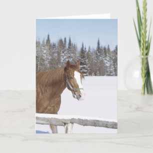 Cartes Pour Fêtes Annuelles Cheval d'hiver Neige équine Noël