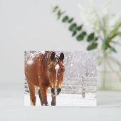 Cartes Pour Fêtes Annuelles Cheval d'hiver Noël (Debout devant)