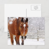 Cartes Pour Fêtes Annuelles Cheval d'hiver Noël (Devant / Derrière)