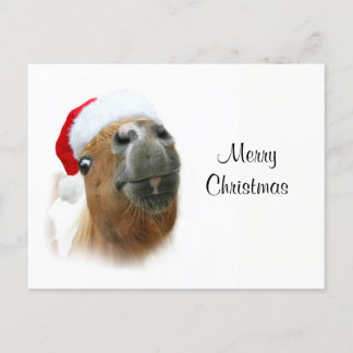 Cartes Pour Fêtes Annuelles Cheval drôle de Noël
