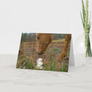 Cartes Pour Fêtes Annuelles cheval et fleur de printemps Bunny