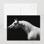Cartes Pour Fêtes Annuelles Cheval noir et blanc (Devant / Derrière)