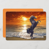 Cartes Pour Fêtes Annuelles Cheval Noir Stallion Sur La Plage (Devant / Derrière)