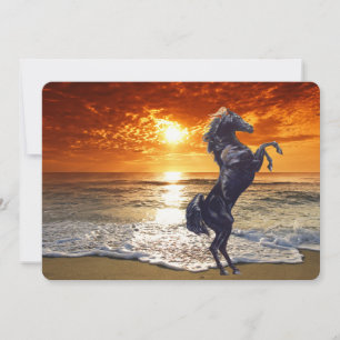 Cartes Pour Fêtes Annuelles Cheval Noir Stallion Sur La Plage