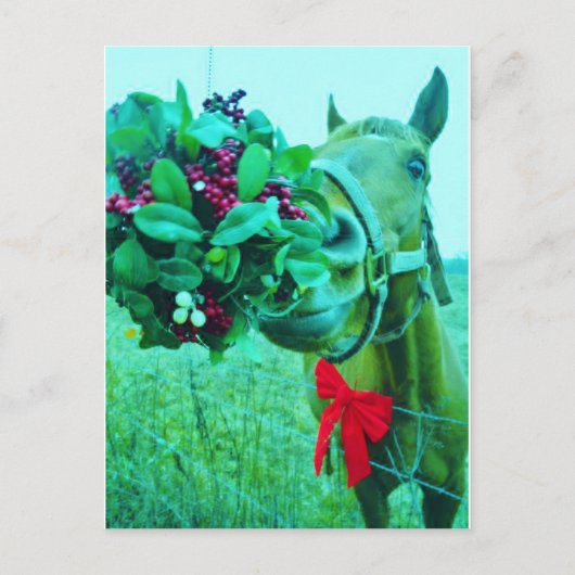 Cartes Pour Fêtes Annuelles Cheval Turquoise Mistletoe de Noël (Devant)