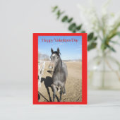 Cartes Pour Fêtes Annuelles Cheval Valentine (Debout devant)