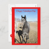 Cartes Pour Fêtes Annuelles Cheval Valentine (Devant / Derrière)