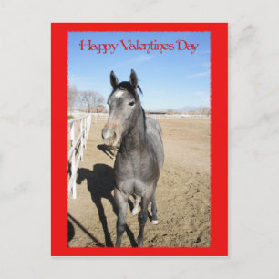 Cartes Pour Fêtes Annuelles Cheval Valentine