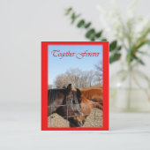 Cartes Pour Fêtes Annuelles Cheval Valentine III (Debout devant)