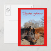Cartes Pour Fêtes Annuelles Cheval Valentine III (Devant / Derrière)