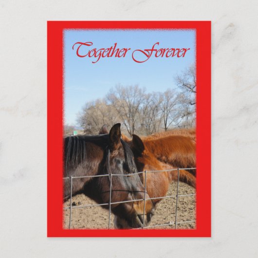 Cartes Pour Fêtes Annuelles Cheval Valentine III (Devant)