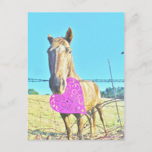Cartes Pour Fêtes Annuelles Cheval Valentine rose et turquoise