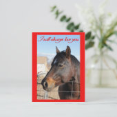 Cartes Pour Fêtes Annuelles Cheval Valentine V (Debout devant)