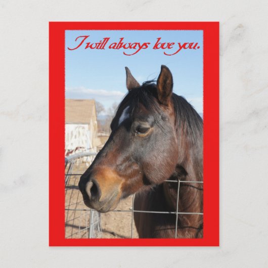 Cartes Pour Fêtes Annuelles Cheval Valentine V (Devant)