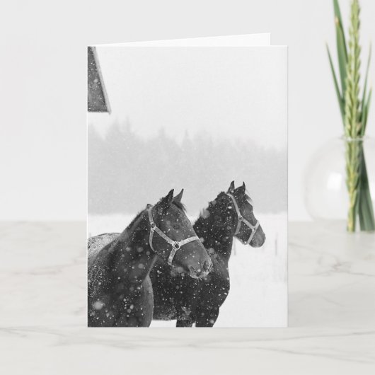 Cartes Pour Fêtes Annuelles Chevaux de Neige Equine Noël Hioliday (Devant)