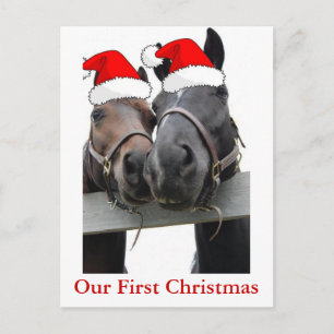 Cartes Pour Fêtes Annuelles Chevaux de Noël