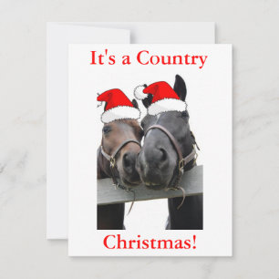 Cartes Pour Fêtes Annuelles Chevaux de Noël