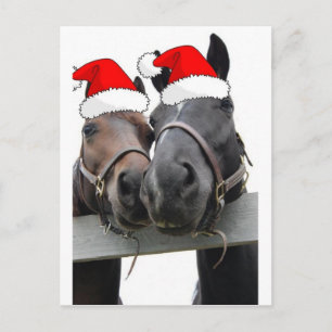 Cartes Pour Fêtes Annuelles Chevaux de Noël
