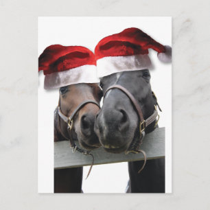 Cartes Pour Fêtes Annuelles Chevaux de Noël avec chapeau de Père Noël
