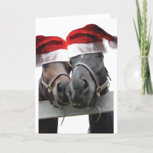 Cartes Pour Fêtes Annuelles Chevaux de Noël avec chapeau de Père Noël