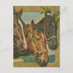 Cartes Pour Fêtes Annuelles Chevaux de Noël Vintage