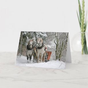 Cartes Pour Fêtes Annuelles Chevaux de trait Noël