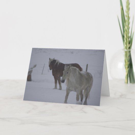 Cartes Pour Fêtes Annuelles Chevaux d'hiver (Devant)