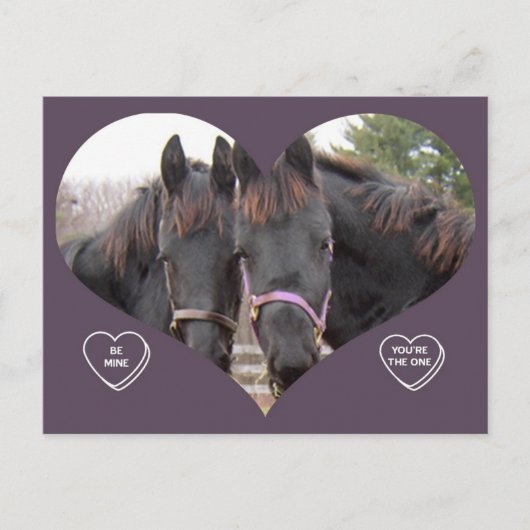 CARTES POUR FÊTES ANNUELLES CHEVAUX JUMEAUX VALENTINE (Devant)
