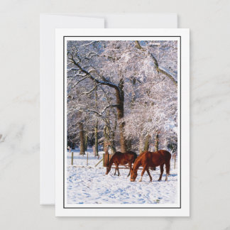 Cartes Pour Fêtes Annuelles Chevaux Pur-Sang dans la Neige