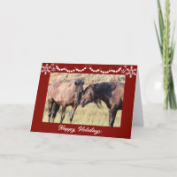 Chevaux sauvages