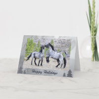 Chevaux sauvages