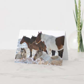 CARTES POUR FÊTES ANNUELLES CHEVAUX SAUVAGES PERSONNALISÉS DE PINTOS D'UTAH EN