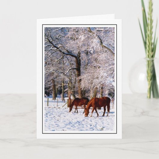 Cartes Pour Fêtes Annuelles Chevaux Thoroughbred en neige (Devant)