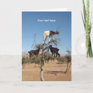 Cartes Pour Fêtes Annuelles Chèvres amusantes dans un arbre