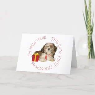 Cartes Pour Fêtes Annuelles Chi Tzu Chien Premier Noël