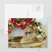Cartes Pour Fêtes Annuelles Chick de Noël (Devant / Derrière)