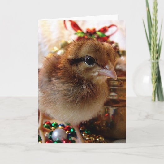 Cartes Pour Fêtes Annuelles Chick de Noël (Devant)