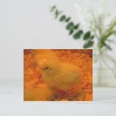 Cartes Pour Fêtes Annuelles Chick de Pâques (Debout devant)