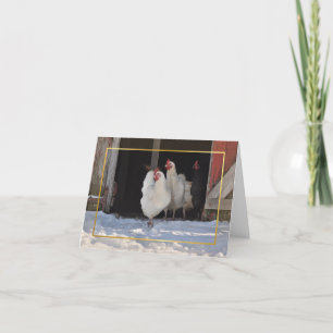 Cartes Pour Fêtes Annuelles Chickens in the snow christmas card