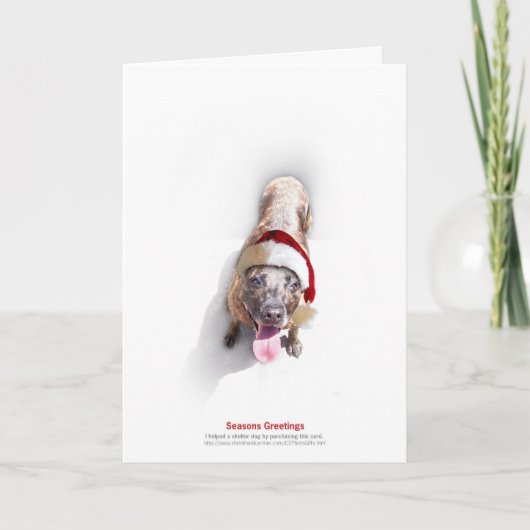 Cartes Pour Fêtes Annuelles Chien 2 d'abri de vacances (Devant)