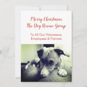 Cartes Pour Fêtes Annuelles Chien à chienne français Mistletoe Joyeux brillant (Dos)